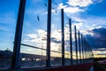 Sound-absorbing glass screen along the road in the city center. Black contours of birds on the glass. Background.