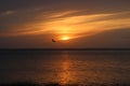 Sound Flight of the Osprey Royalty Free Stock Photo