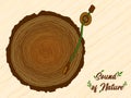 Sound of nature tree circle vinyl music concept Royalty Free Stock Photo