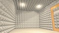 Sound proof room, anechoic chamber.