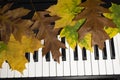 Sounds of autumn. Royalty Free Stock Photo