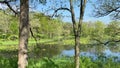 The sounds of summer at a lake surrounded by trees at Moraine Hills State Park in Volo, Illinois, USA