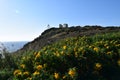 Sounion the ancient Greek temple of Poseidon Royalty Free Stock Photo