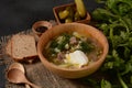 Soup with beef meat, pickled cucumbers and pearl barley. Rassolnik