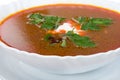 Soup from beet with sour cream Royalty Free Stock Photo