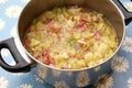 Soup of cabbage and bacon Royalty Free Stock Photo