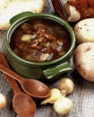 Soup with Chanterelle Mushrooms Royalty Free Stock Photo