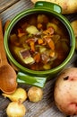 Soup with Chanterelle Mushrooms Royalty Free Stock Photo