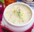 Soup of cheese and leek Royalty Free Stock Photo