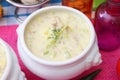 Soup of cheese and leek Royalty Free Stock Photo