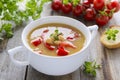 Soup from chick-peas and vegetables Royalty Free Stock Photo