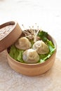 Soup Dumpling, Xiaolongbao