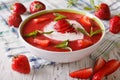 Soup of fresh strawberry with yogurt close up in a bowl. horizon Royalty Free Stock Photo