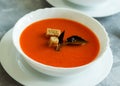 Soup gaspacho in the white bowl Royalty Free Stock Photo