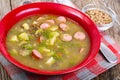 Soup of green lentils in a red ceramic bowl Royalty Free Stock Photo