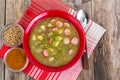 Soup of green lentils in a red ceramic bowl Royalty Free Stock Photo