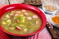 Soup of green lentils in a red ceramic bowl Royalty Free Stock Photo