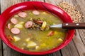 Soup of green lentils in a red ceramic bowl Royalty Free Stock Photo