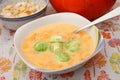A soup of hokaido pumpkin with Brussels sprouts Royalty Free Stock Photo