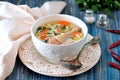 Soup with homemade noodles and organic chicken with carrots, root and leaves of parsley, onion and celery sticks. Royalty Free Stock Photo