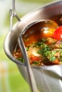 Soup with meat and vegetables Royalty Free Stock Photo