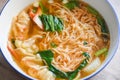 Soup noodle wonton pork yellow noodle with red roasted pork dumpling and bog choy chinese vegetable in soup bowl on wooden table,