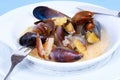 Soup with oysters. Exotic seafood dishes.