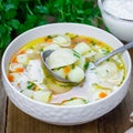 Soup with pelmeni, russian dumplings, square