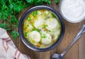 Soup with pelmeni (russian dumplings) Royalty Free Stock Photo