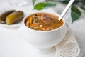 Soup with pickled cucumbers (rassolnik) Royalty Free Stock Photo