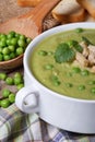 Soup puree of fresh green peas macro. Vertical Royalty Free Stock Photo