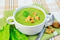 Soup puree with spinach and garlic on fabric Royalty Free Stock Photo