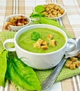 Soup puree with spinach and spoon on fabric Royalty Free Stock Photo