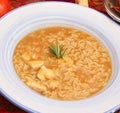 Soup of rice and meat Royalty Free Stock Photo