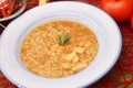 Soup of rice and meat Royalty Free Stock Photo