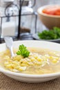 Soup with salted cucumbers and pearl barley Royalty Free Stock Photo