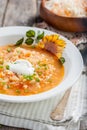 Soup with sauerkraut and millet Royalty Free Stock Photo