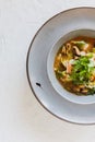 Soup seefood with shitake and onion and gyoza Royalty Free Stock Photo