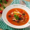 Soup solyanka Russian with meat, olives and gherkins Royalty Free Stock Photo
