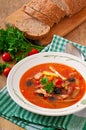 Soup solyanka Russian with meat, olives and gherkins Royalty Free Stock Photo