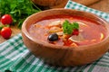 Soup solyanka Russian with meat, olives and gherkins Royalty Free Stock Photo