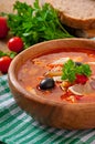 Soup solyanka Russian with meat, olives and gherkins Royalty Free Stock Photo