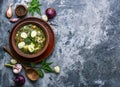 Soup of sorrel and nettles Royalty Free Stock Photo