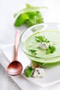 Soup with spinach and gorgonzola