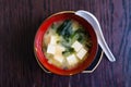 Soup with tofu and seaweed Royalty Free Stock Photo