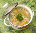 Soup of vegetabkes Royalty Free Stock Photo