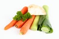 Soup vegetables Royalty Free Stock Photo