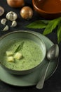 Soup of wild garlic, potatoes, onions and cream Royalty Free Stock Photo