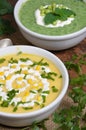 Soups puree Royalty Free Stock Photo
