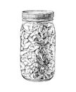 Sour cabbage in glass jar vector